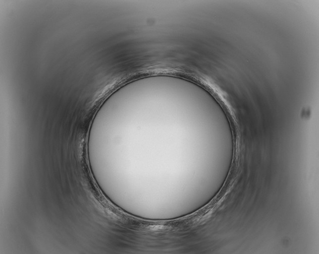 X0000090880153200707271024
