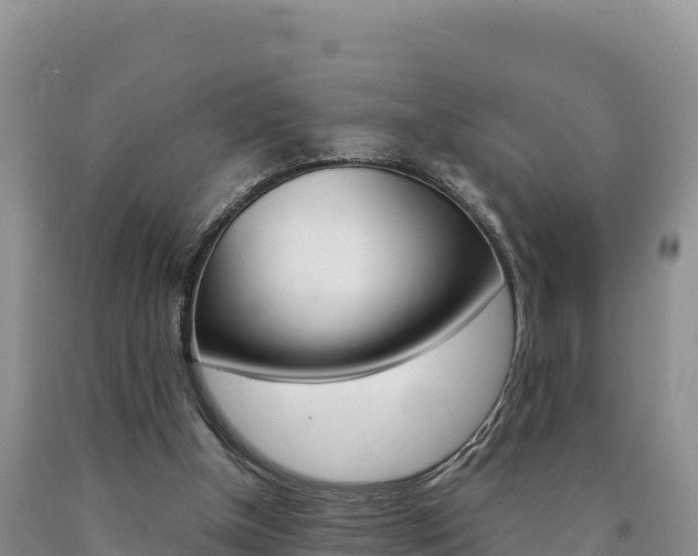 X0000090880154200707271024