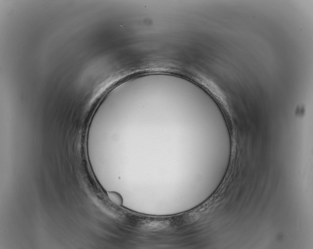X0000090880155200707271024
