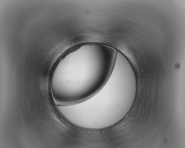 X0000090880156200707271024