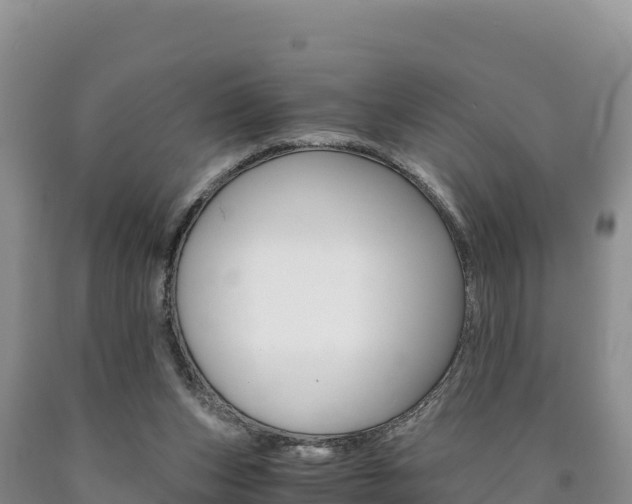 X0000090880159200707271024