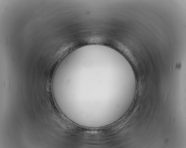 X0000090880161200707271024