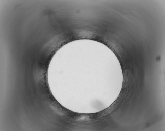 X0000090880162200707271024