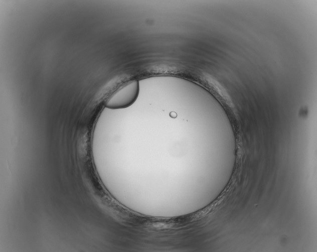 X0000090880163200707271024