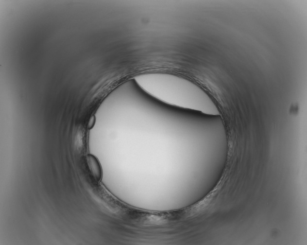 X0000090880166200707271024