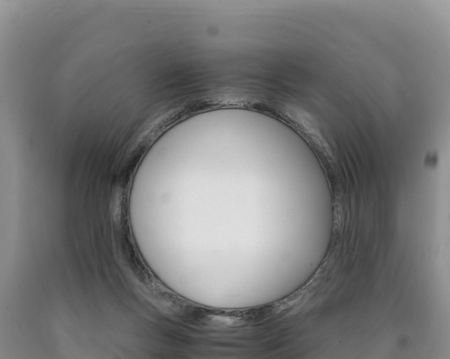 X0000090880167200707271024