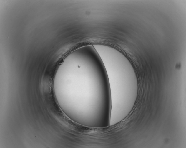X0000090880168200707271024