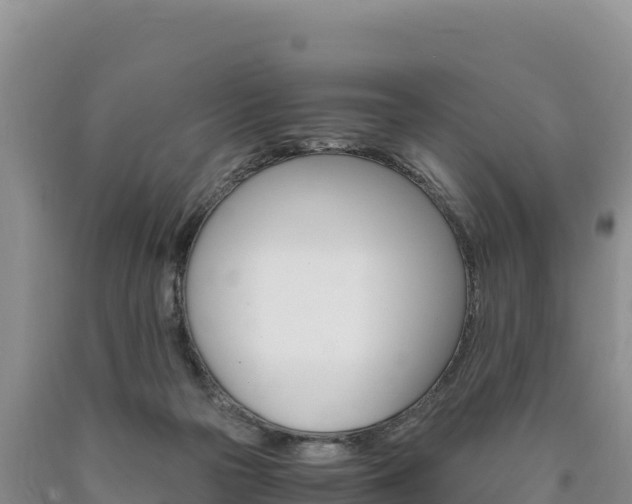 X0000090880169200707271024