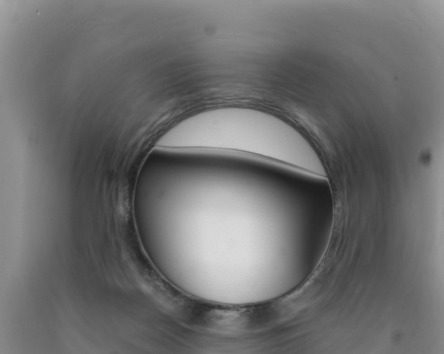 X0000090880170200707271024