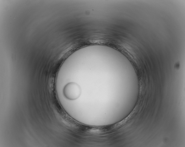 X0000090880171200707271024