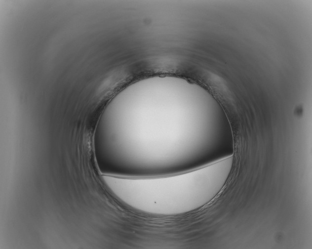 X0000090880172200707271025