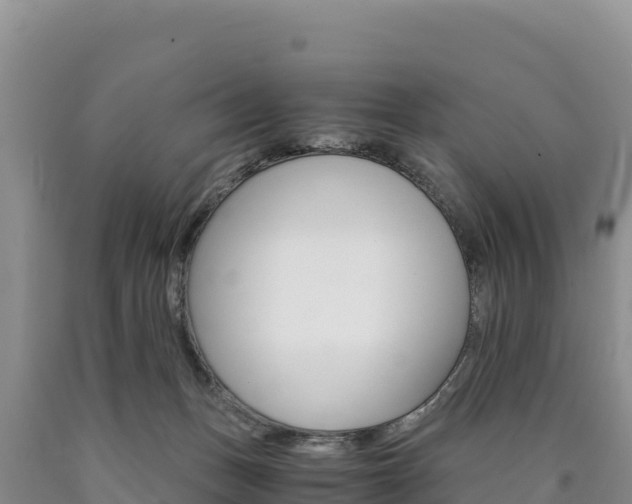 X0000090880175200707271025