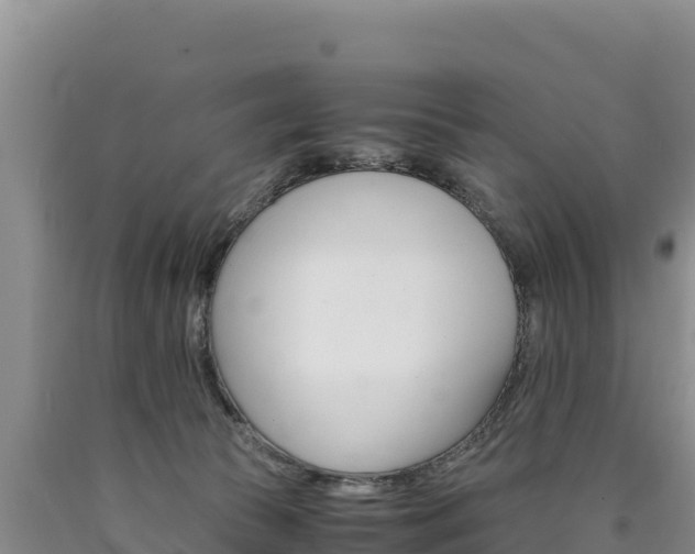 X0000090880177200707271025