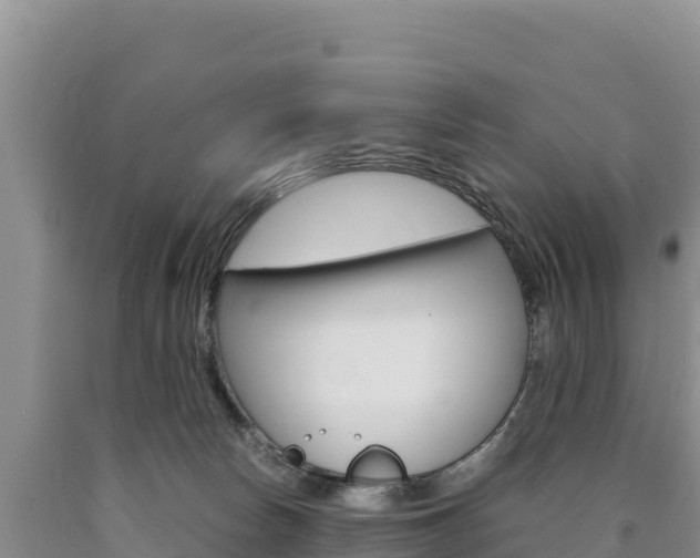 X0000090880178200707271025