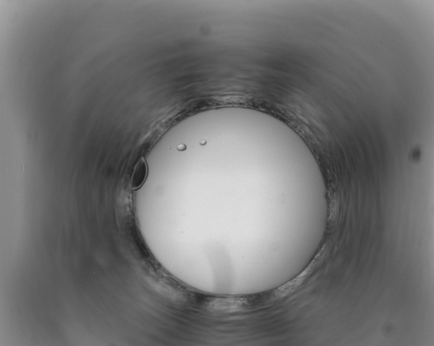 X0000090880179200707271025