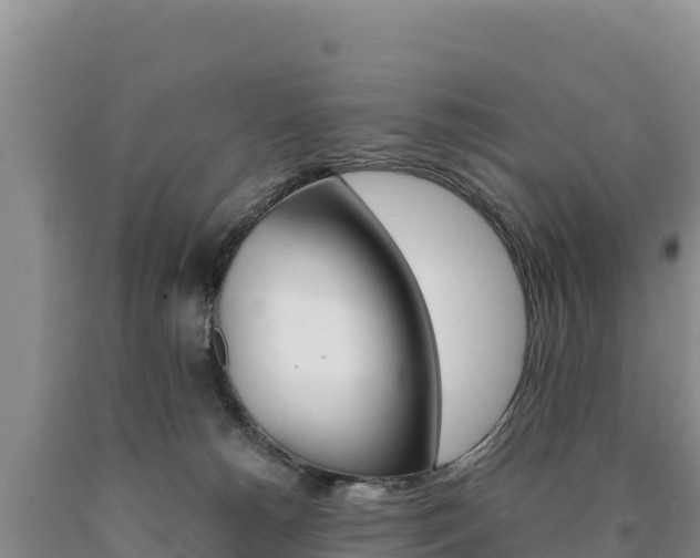 X0000090880180200707271025