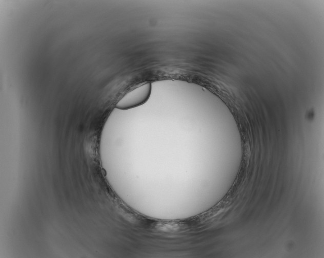 X0000090880181200707271025
