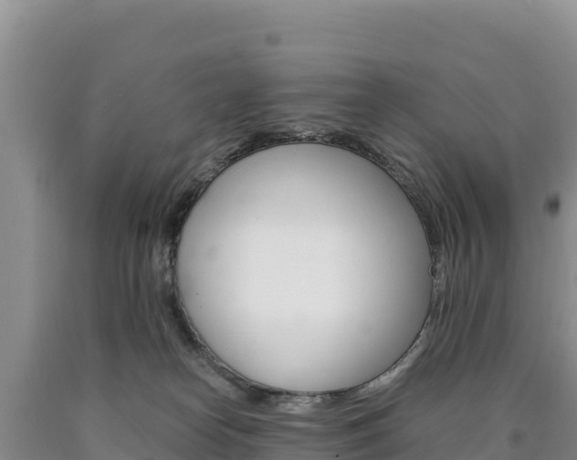 X0000090880182200707271025