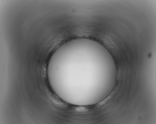 X0000090880183200707271025