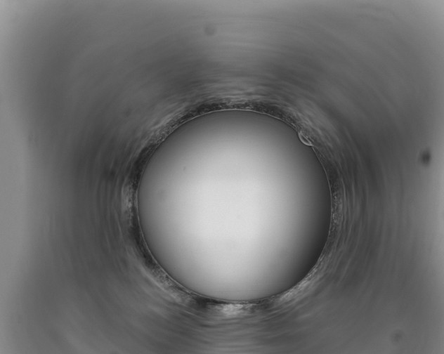 X0000090880184200707271025