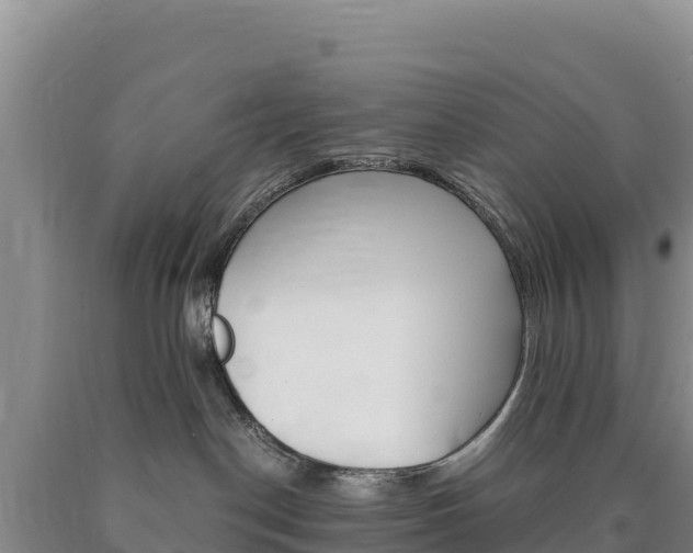 X0000090880190200707271025