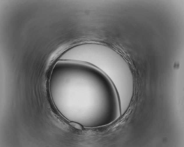 X0000090880197200707271024