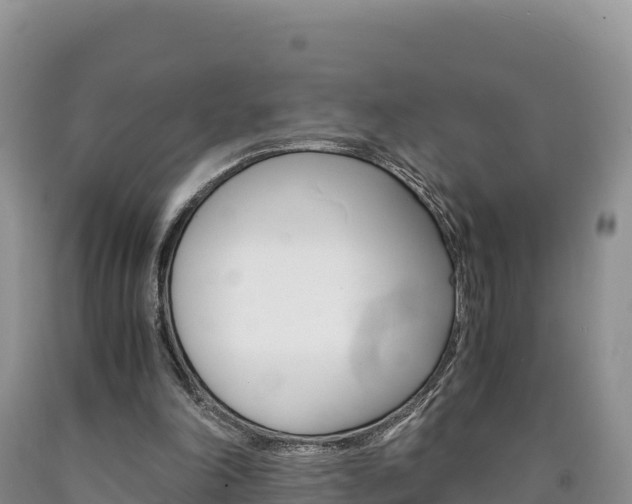 X0000090880198200707271024