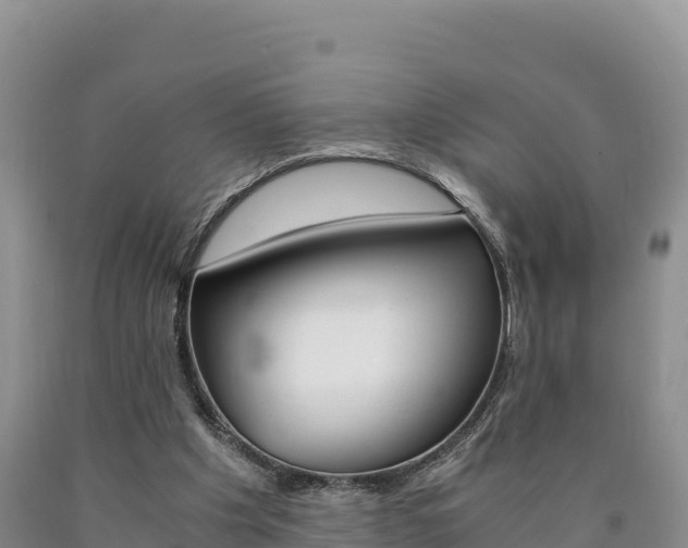 X0000090880201200707271024