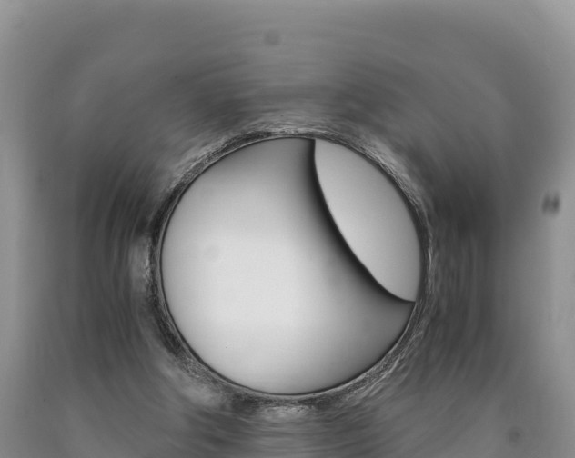 X0000090880202200707271024