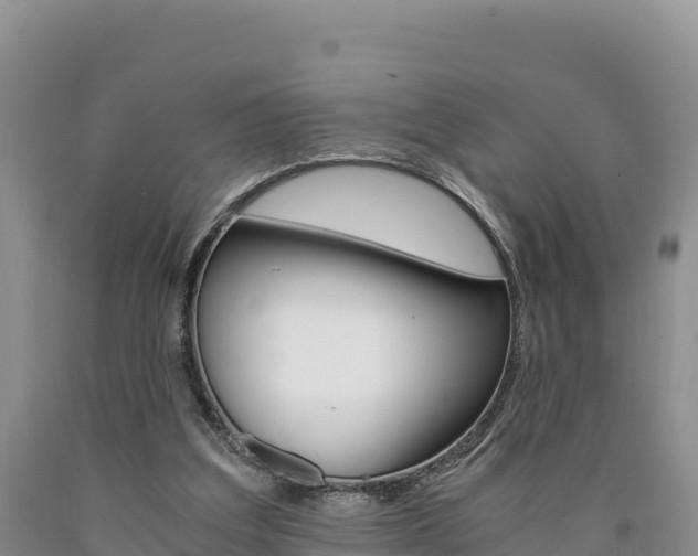 X0000090880203200707271024