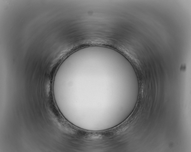 X0000090880206200707271024