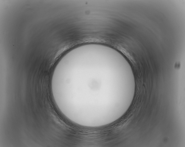 X0000090880207200707271024