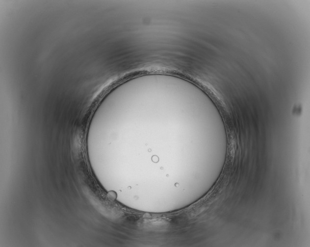 X0000090880208200707271024