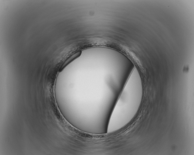 X0000090880209200707271024