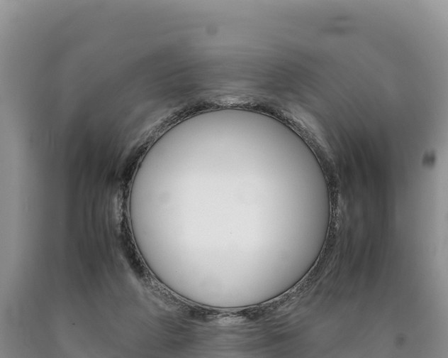 X0000090880210200707271024