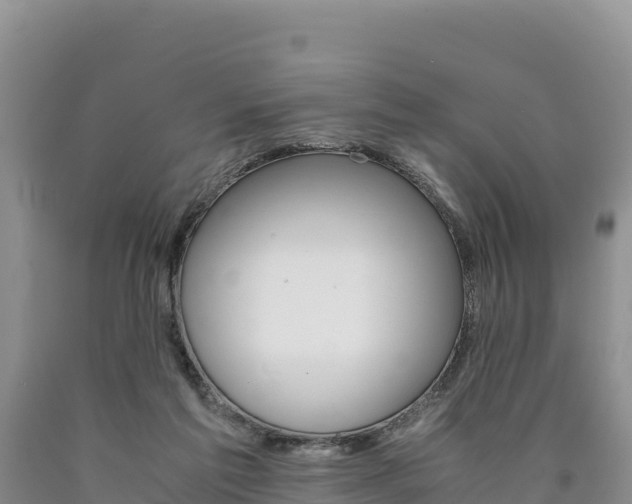 X0000090880213200707271024