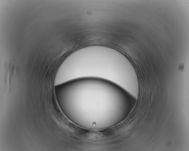 X0000090880215200707271024