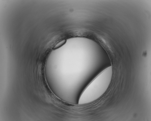 X0000090880217200707271024