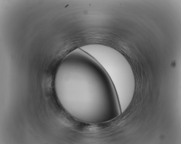X0000090880219200707271024