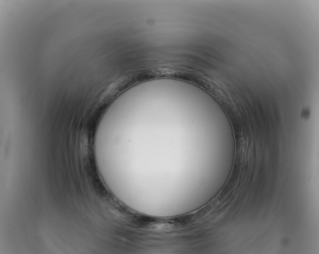 X0000090880220200707271024