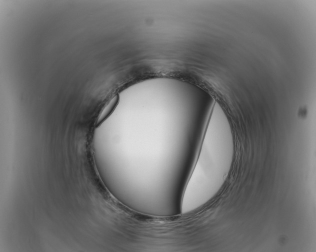 X0000090880221200707271024