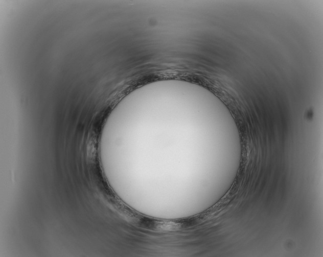 X0000090880226200707271024