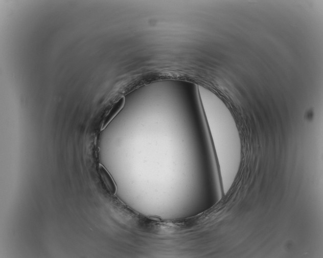 X0000090880229200707271024