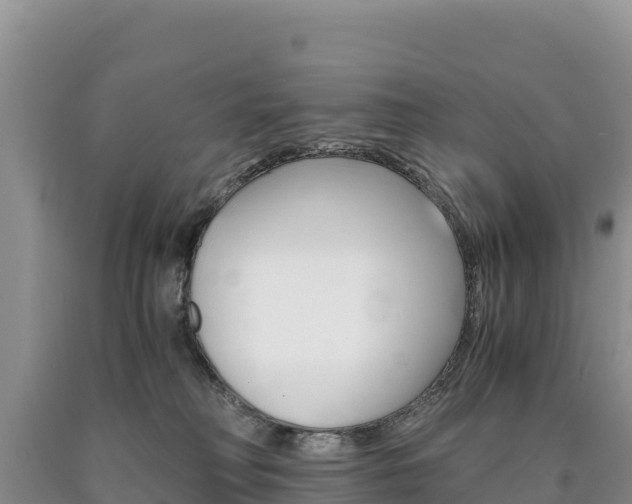 X0000090880230200707271024