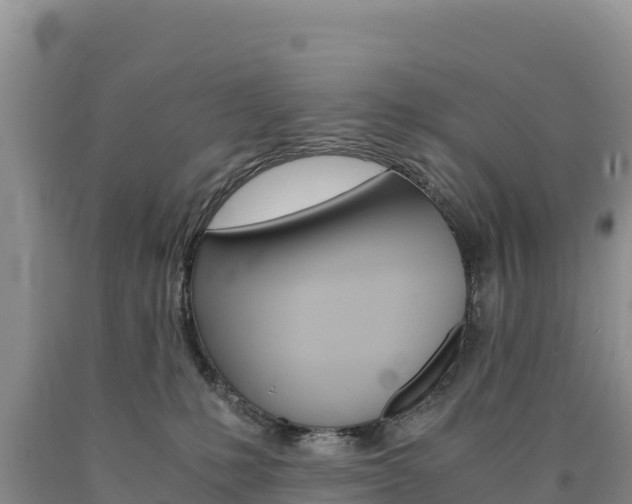 X0000090880231200707271024
