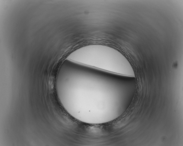 X0000090880232200707271023