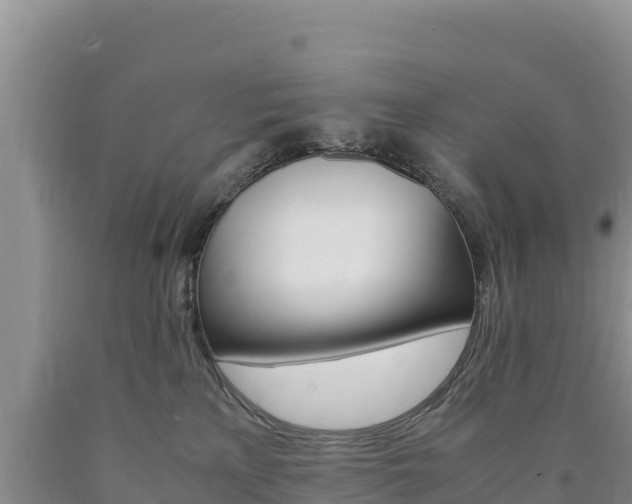 X0000090880233200707271023