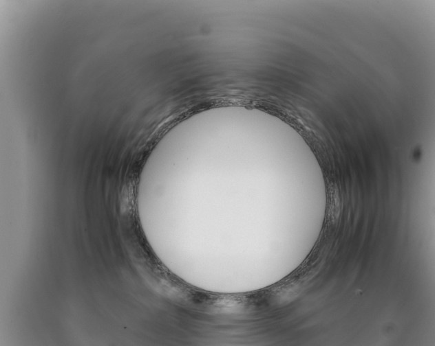 X0000090880236200707271023