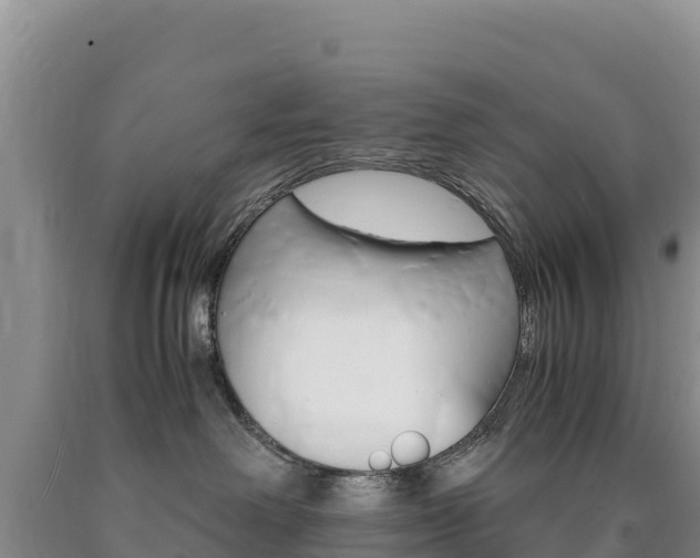 X0000090880238200707271023