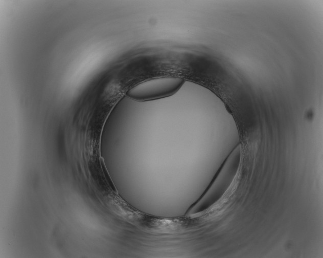 X0000090880239200707271023